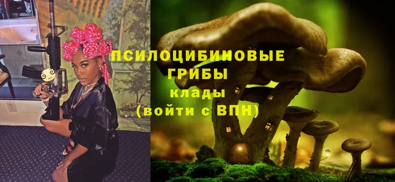 Псилоцибиновые грибы MAGIC MUSHROOMS  купить   Верхний Тагил 